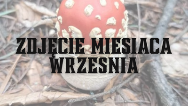 Zdjęcie WRZEŚNIA